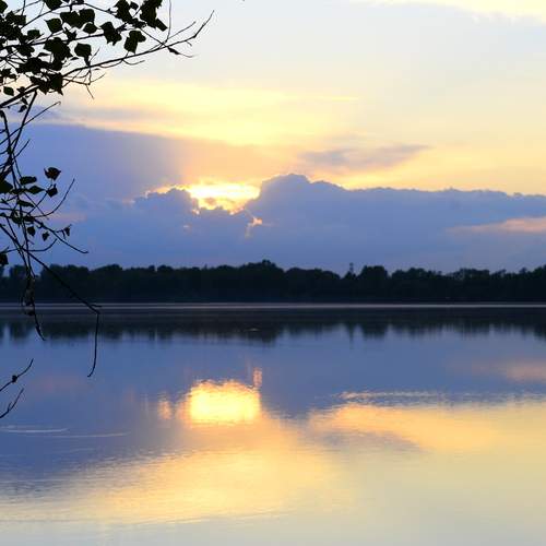 Photo #11952317