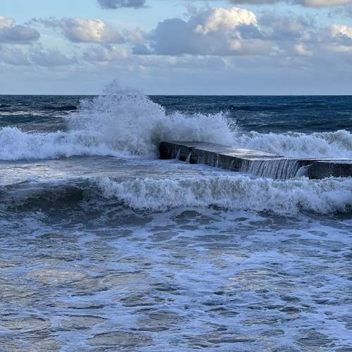 Photo #11952370
