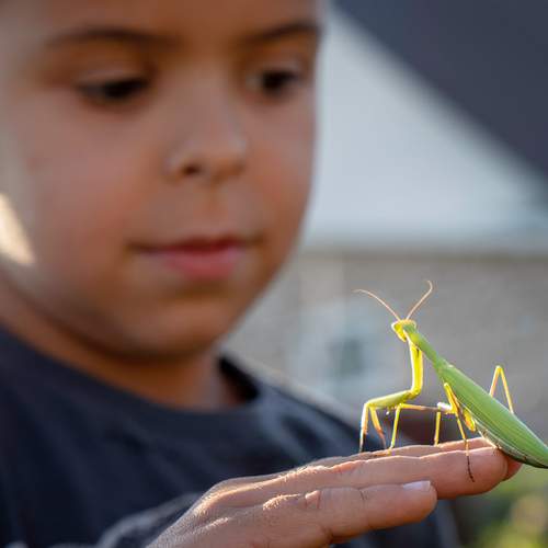 Photo #11952383