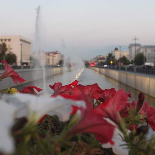 Photo #11952401
