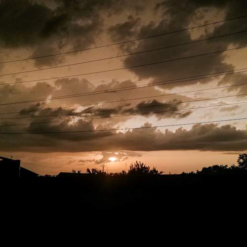 Photo #11952448