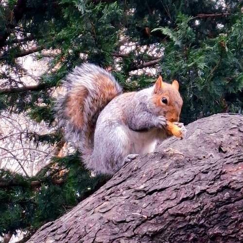 Photo #11952523