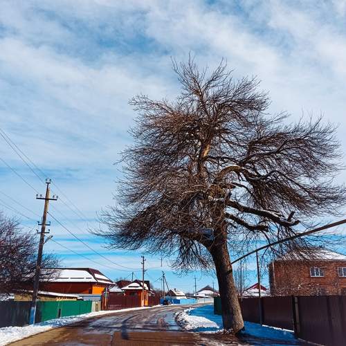 Photo #11952543