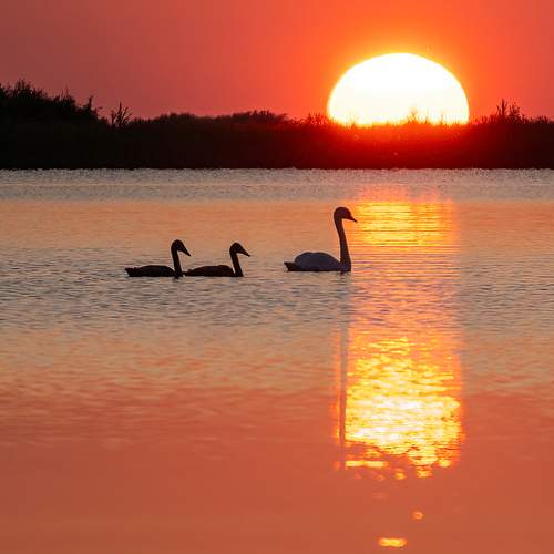 Photo #11952813