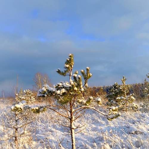 Photo #11952924