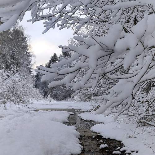 Photo #11952938