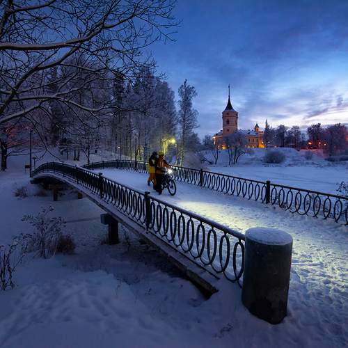 Photo #11952994