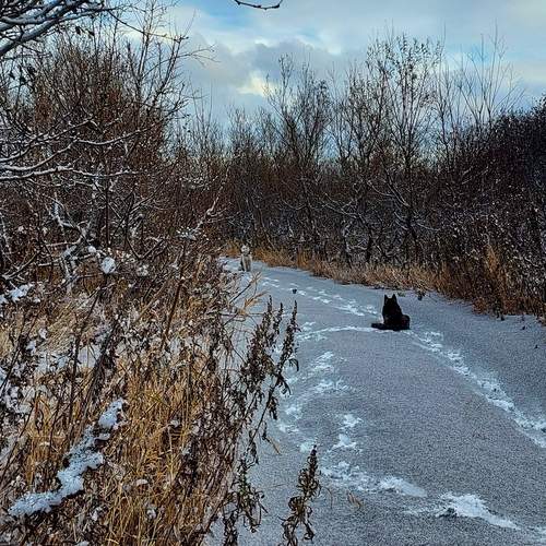 Photo #11953047