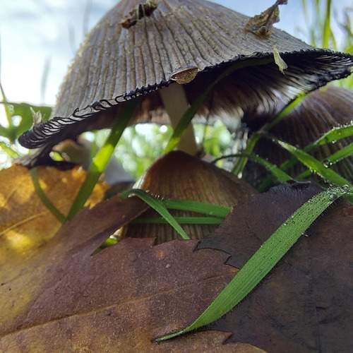 Photo #11953135