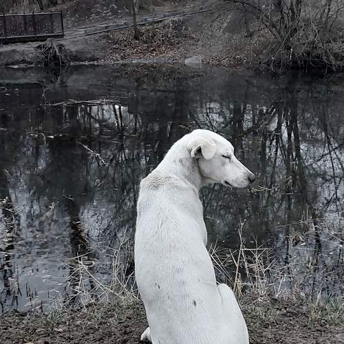Photo #11953137