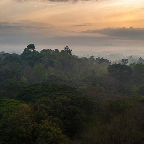 Photo #11953267