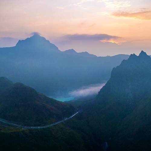 Photo #11953273