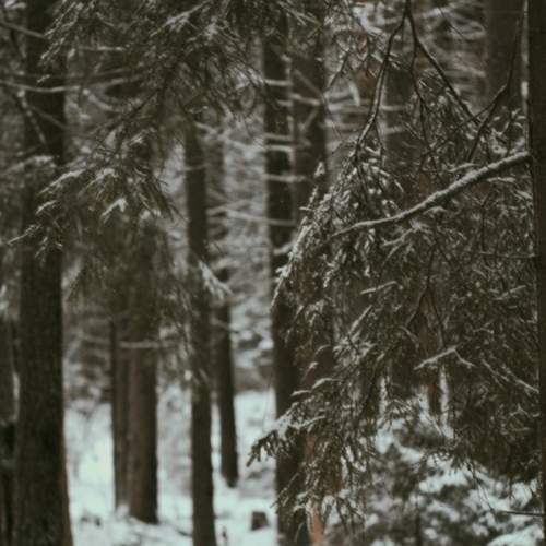 Photo #11953300