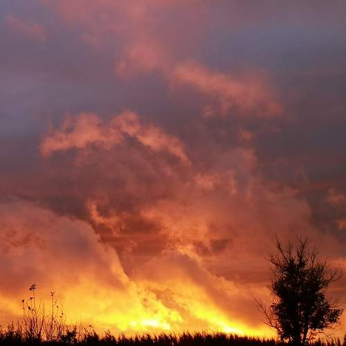 Photo #11953414