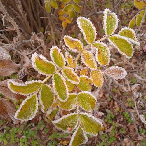 Photo #11953430