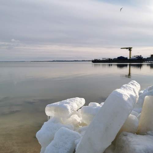 Photo #11953470