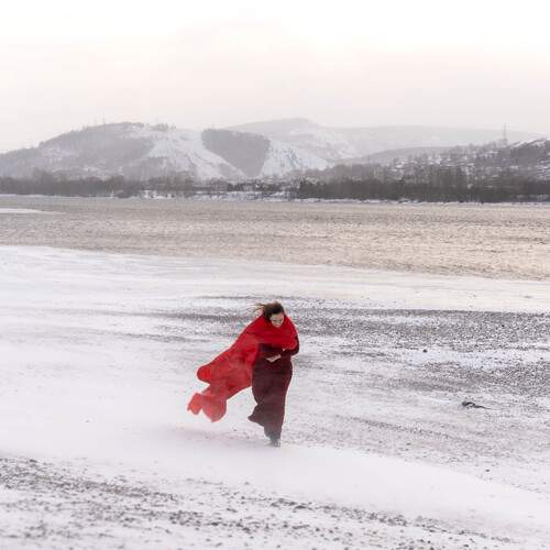 Photo #11953630