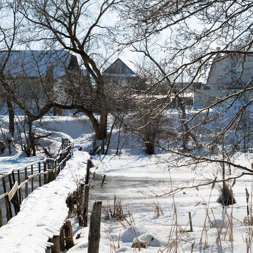 Photo #11953655