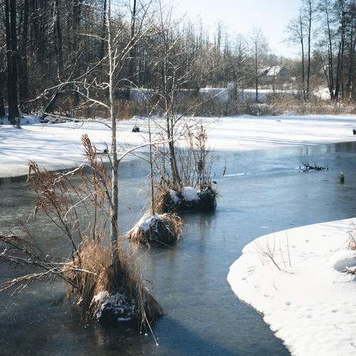 Photo #11953664