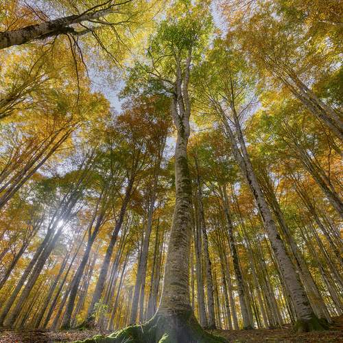 Фотография #11953795