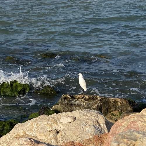 Photo #11953823