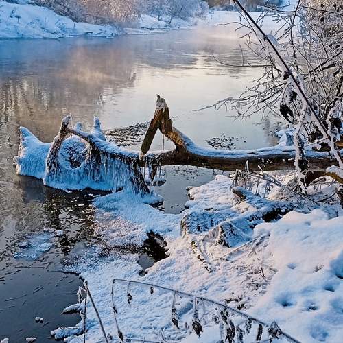 Photo #11953877