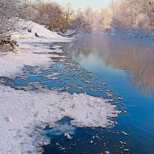 Photo #11953936