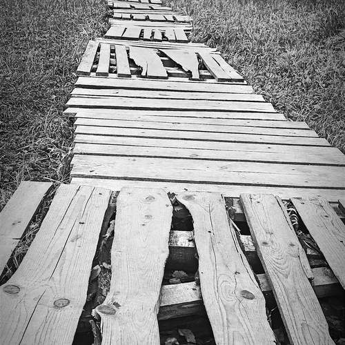 Photo #11953959