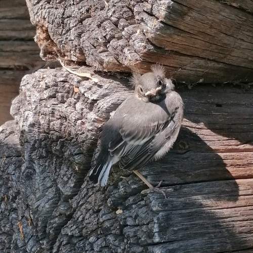 Photo #11954022