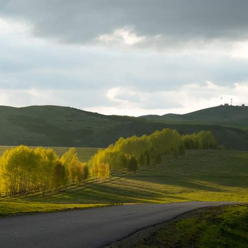 Photo #11954039