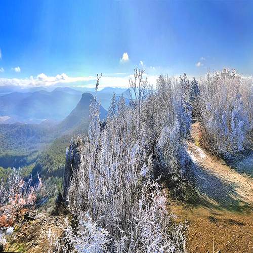 Photo #11954077