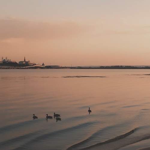 Photo #11954322