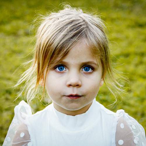 Photo #11954366