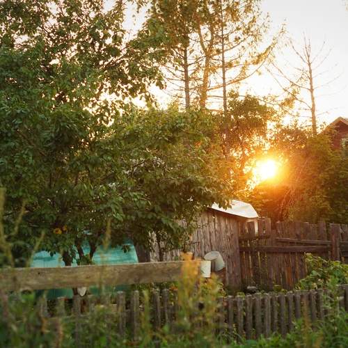 Photo #11954375