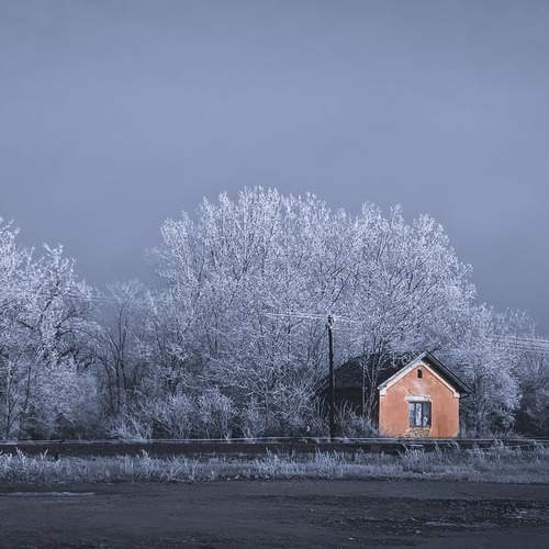 Photo #11954377
