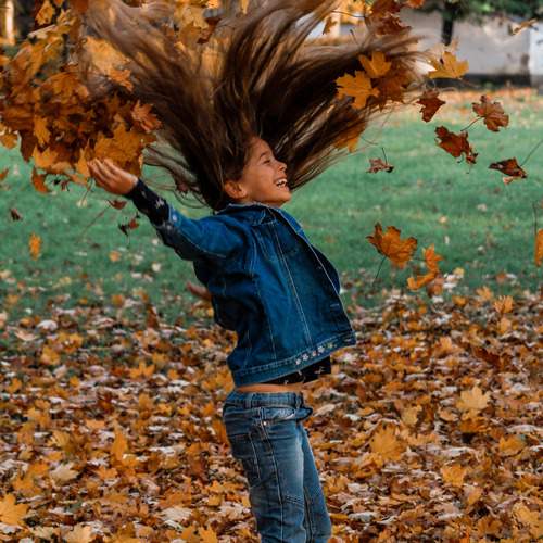 Photo #11954394