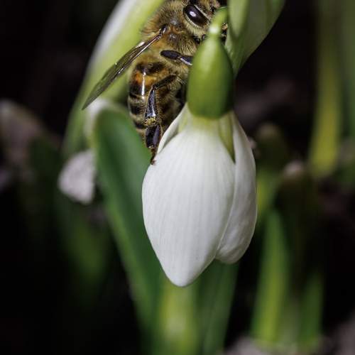 Photo #11954552