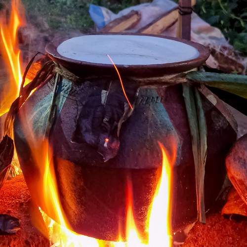 Photo #11954558