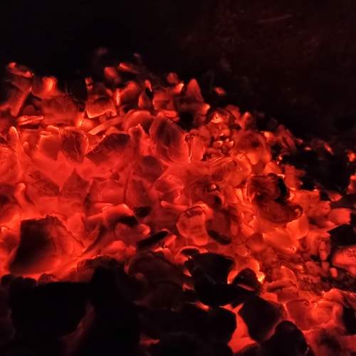 Photo #11954606