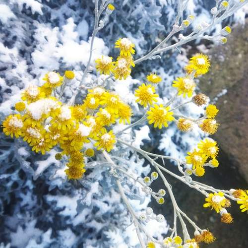 Photo #11954655