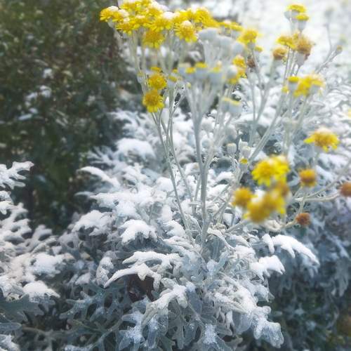 Photo #11954662