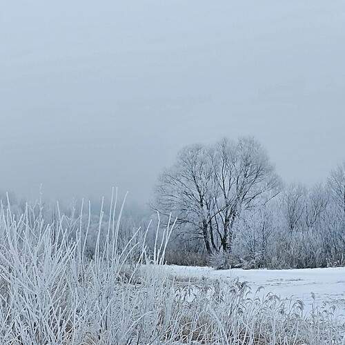 Photo #11954684