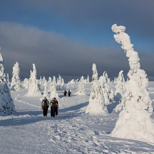 Photo #11954732