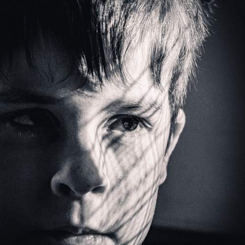 Photo #11954795