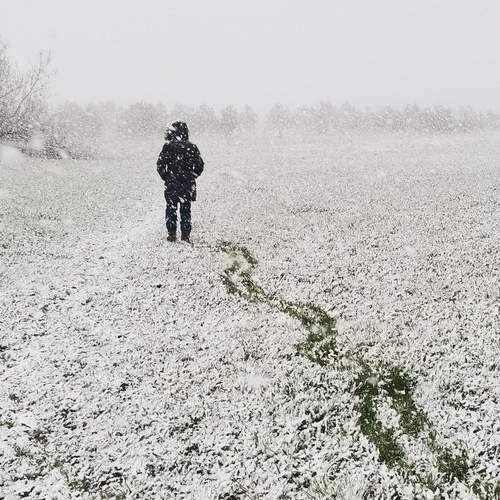 Photo #11954800