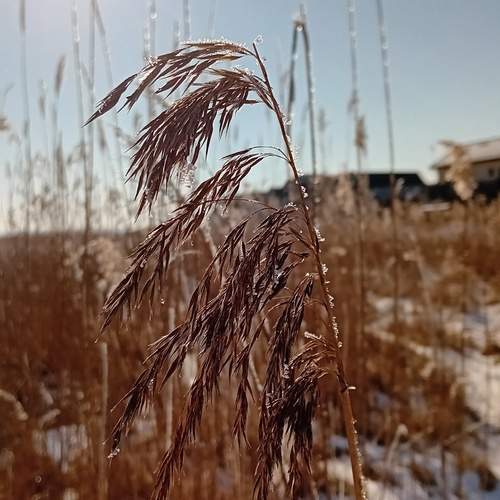 Photo #11954892