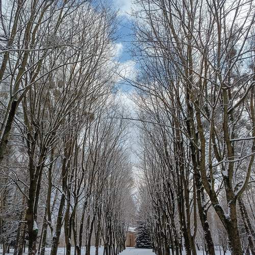Photo #11954951