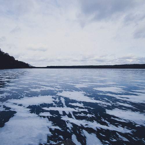 Photo #11954986