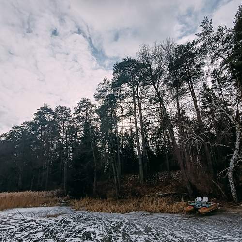 Photo #11955028
