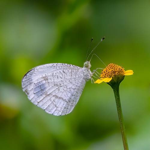 Photo #11955278